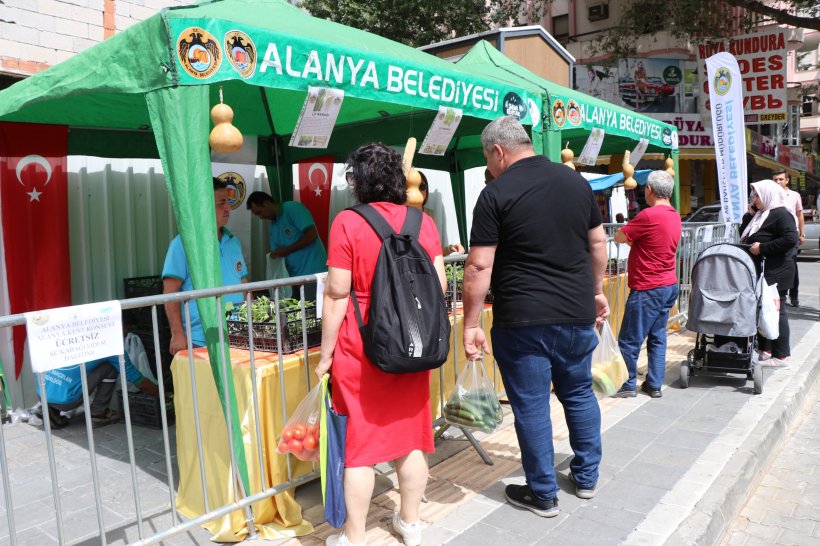 Alanya'da ücretsiz su kabağı fidesi dağıtılacak