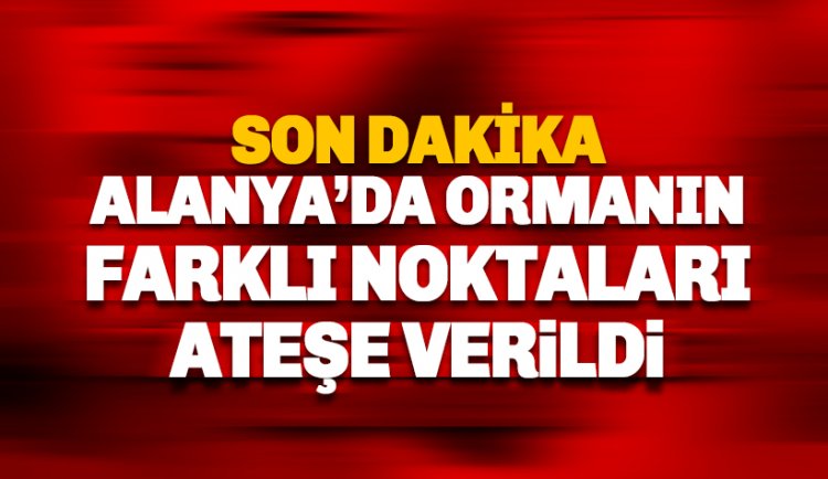 Son dakika: Alanya'da ormanlık alan ateşe verildi