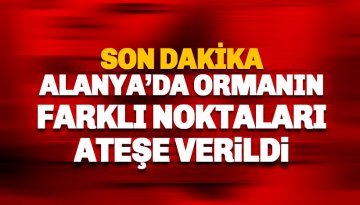 Son dakika: Alanya'da ormanlık alan ateşe verildi