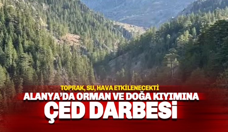 Alanya'da Orman Kıyımına ÇED darbesi