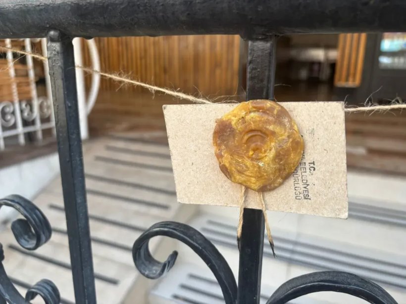 Mühürlenen restorandan iğrenç görüntüler