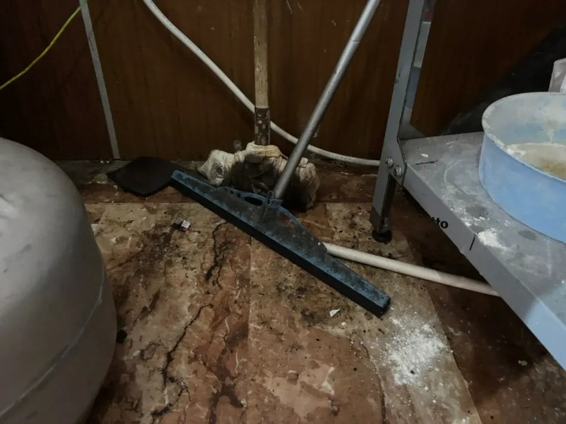 Mühürlenen restorandan iğrenç görüntüler