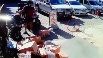 Alanya’da anne kediyi acımasızca tekmeleyen şahıs tutuklandı