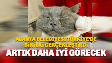 Türkiye'de bir ilk: Belediyeden sokağa terk edilen kediye göz kapağı ameliyatı