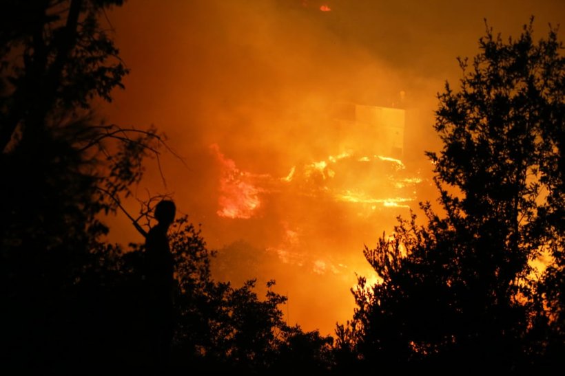 ALanya'da yangın: Alevler Kargıcak ve İspatlı mahallesi sınırına dayandı