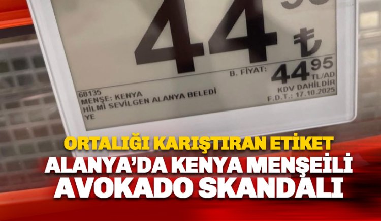 Zincir Markette Kenya Menşeli Avokado skandalı