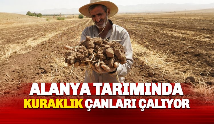 Alanya Tarımında kuraklık çanları: Egzotik Rüya bir kabusa dönebilir.
