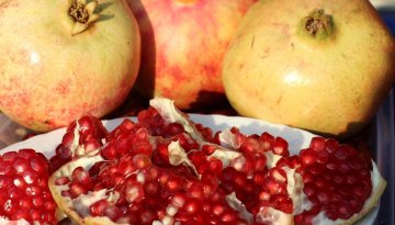 Gazipaşa Çekirdeksiz Narı için Avrupa Birliği patent başvurusu yapıldı