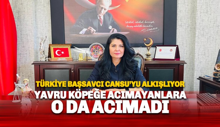 İşte Cumhuriyet Savcısı: Yavru Köpeğe acımayanlara acımadı