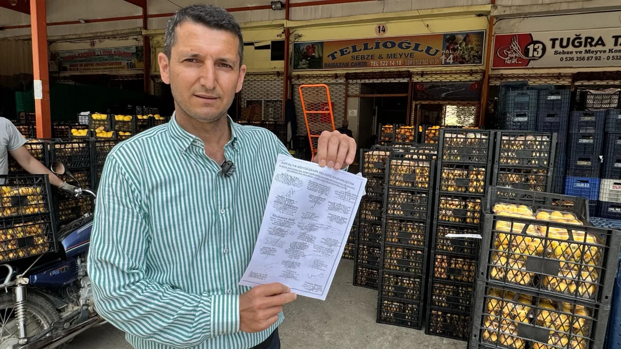 Türkiye'nin Avokado Başkenti Alanya'da Yeni Fiyatlar Açıklandı: Fuarte ve Pinkerton Ne Kadar?