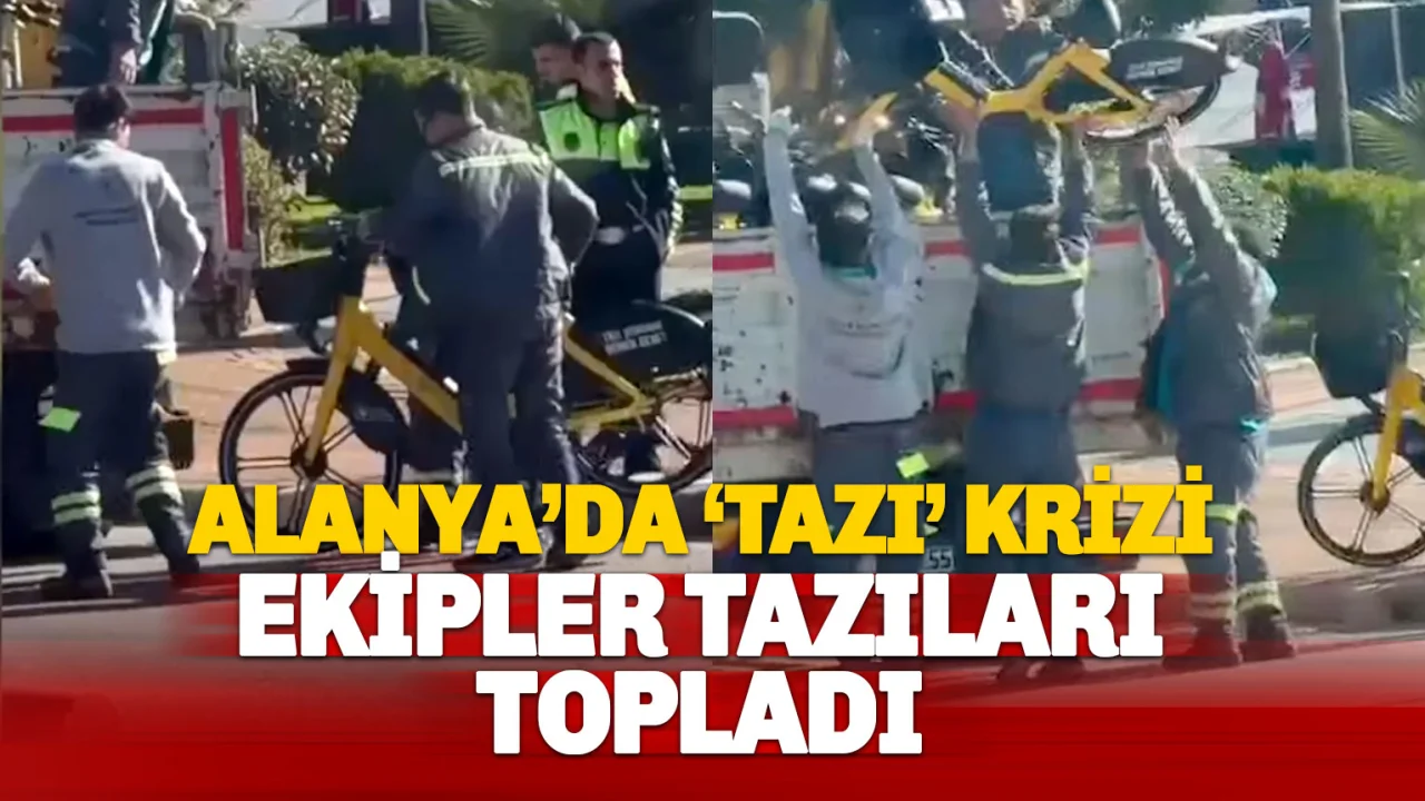 Alanya'da 'Elektrikli Özel Tazı' Krizi: Büyükşehir Logolu Bisikletler Sokaklardan Toplatıldı