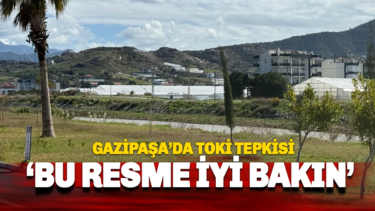 Gazipaşa'da Doğa Talanı: 40 Yıllık Yeşil Alana TOKİ Hançeri!
