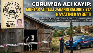Çorum'da Ahırda Can Pazarı: Talihsiz Muhtar Dananın Kurbanı Oldu!