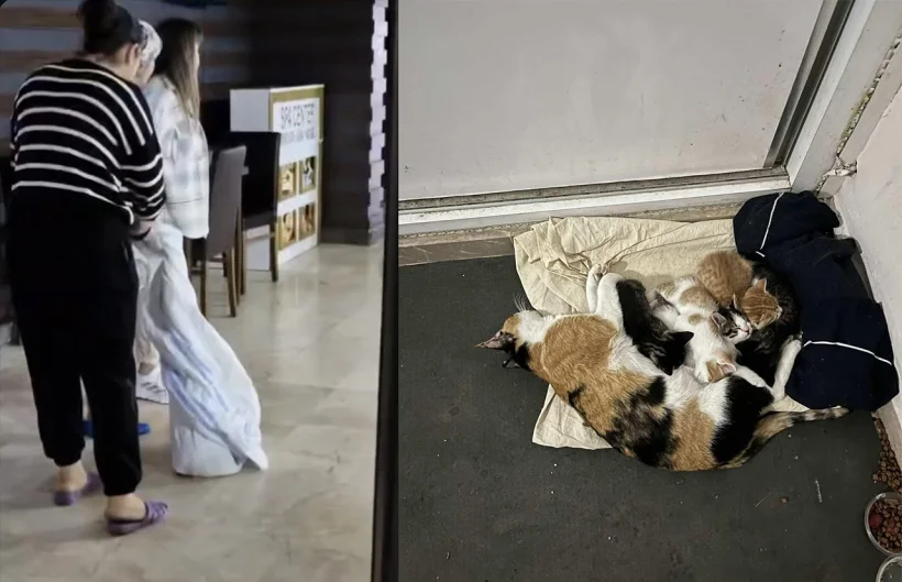 Alanya'da Kız Öğrenci Yurdunda Vicdanları Yaralayan İddia