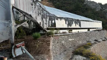 Son dakika: Muz Serasını Kundaklayan 3 zanlı tutuklandı