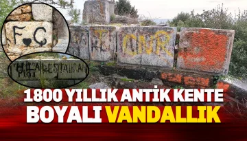 1800 Yıllık Aytap Antik Kenti'ne Boyalı Vandalizm