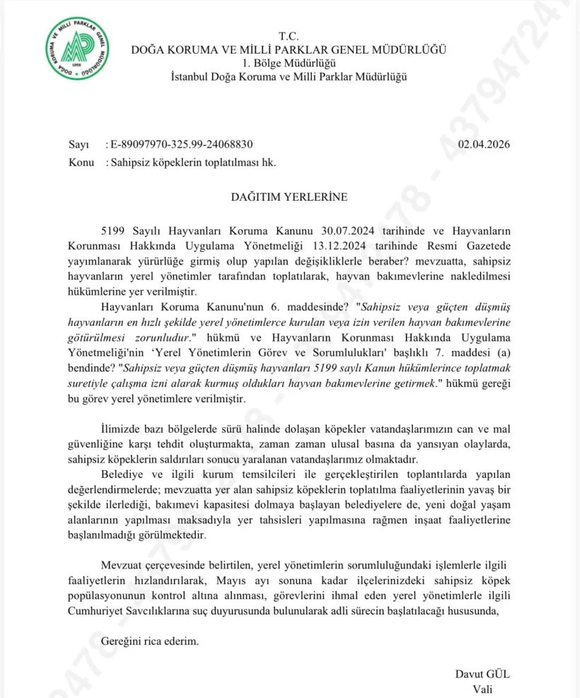 İstanbul Valiliği'nden Kritik Talimat: Sokak Köpekleri Toplanacak
