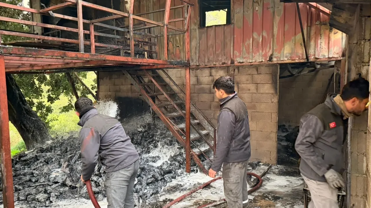 Alanya Akçatı’da Korkutan Yangın: Ekipler Faciayı Önledi