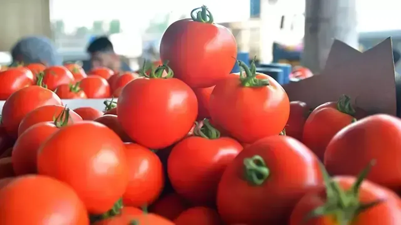 Alanya Hali'nde Fiyatlar Cep Yakıyor: Domates 70 TL ile Zirvede!