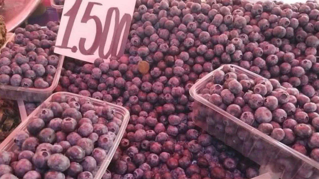 Alanya'da Yaban Mersini 1500 TL'ye tezgahlarda yerini aldı