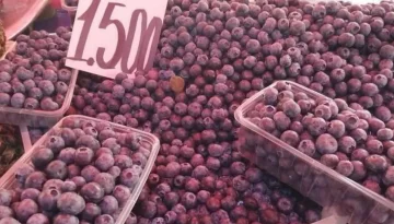 Alanya'da Yaban Mersini 1500 TL'ye tezgahlarda yerini aldı