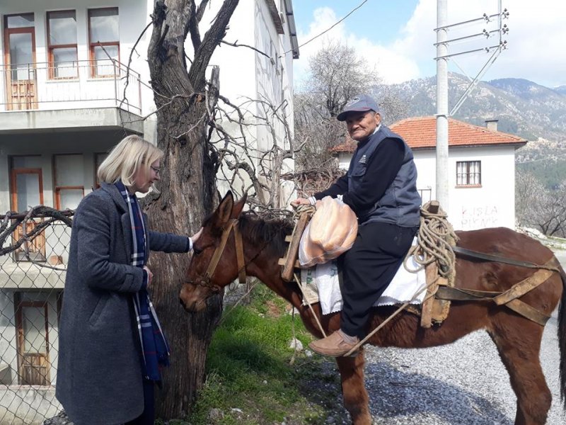 Alanya Belediye Başkan Adayı Anastasia P. Çetinkaya, Çalışıyor