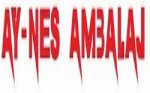 Ay-Nes Ambalaj